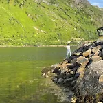 Lofoten Fjordcamp Camping