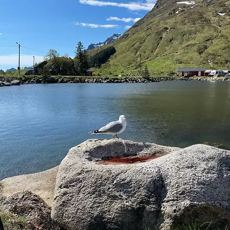 Lofoten Fjordcamp * Valberg