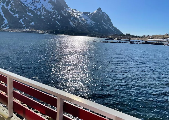 캠프장 Lofoten Fjordcamp